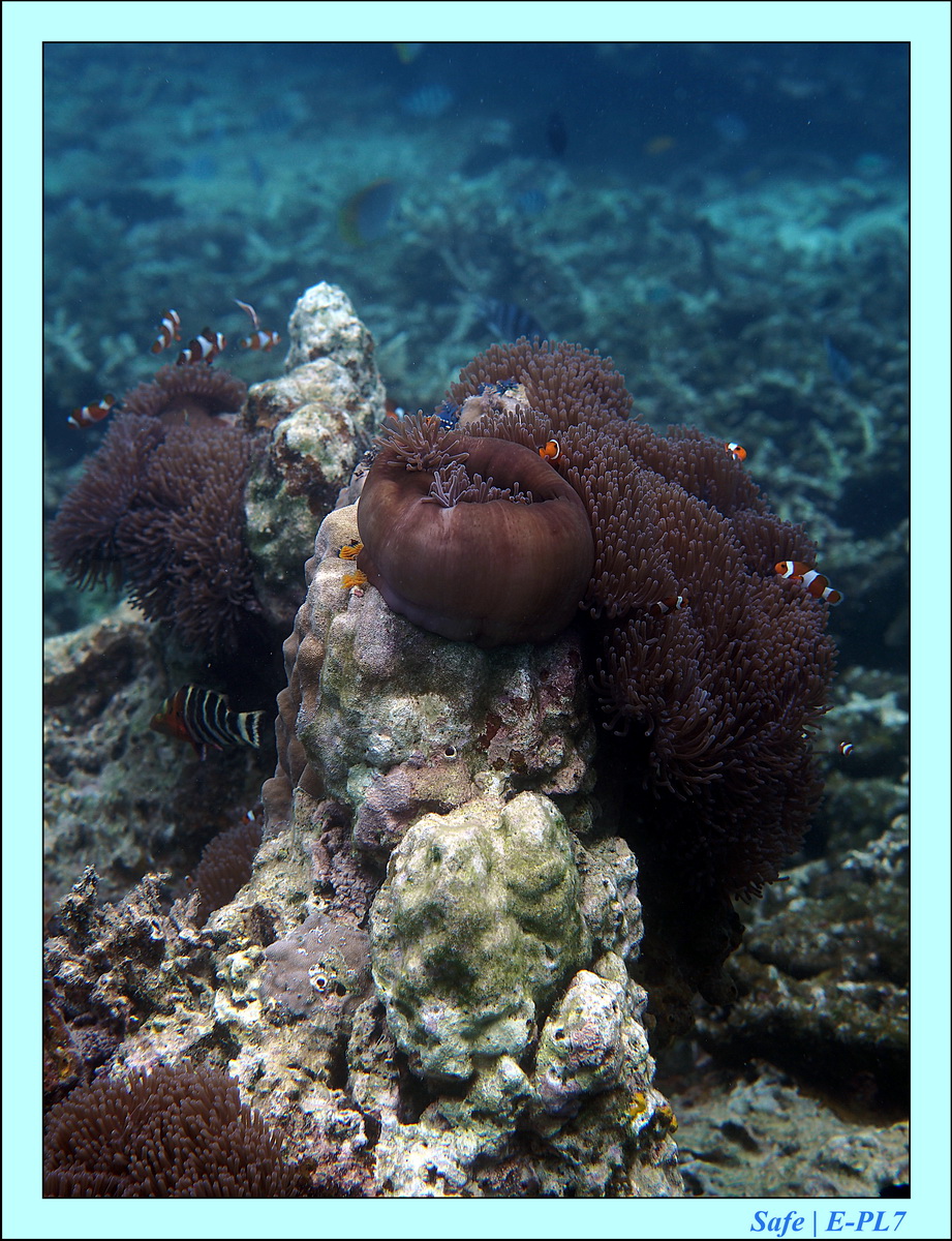 2016 - 07 - Leng Tengah - 021